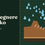 Brun fjellsko med vanndråper som preller av